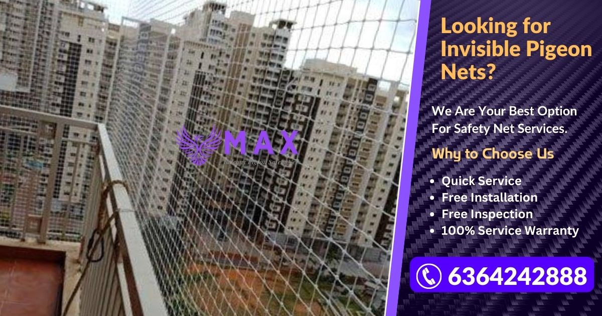 Invisible Pigeon Nets in Chennai | Call 6364242888 for Price Quote